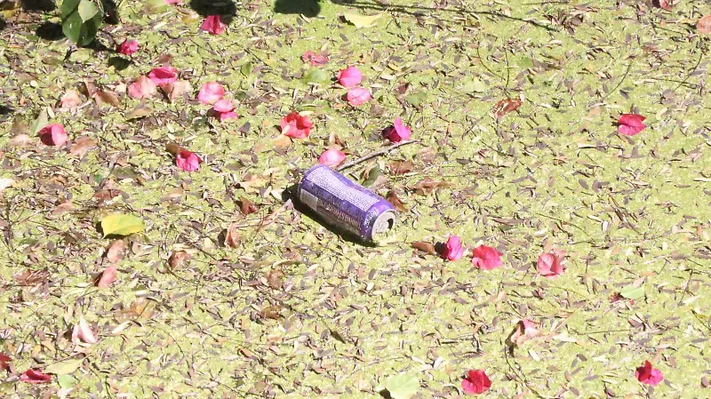 Lago de Las Ánimas en Xalapa